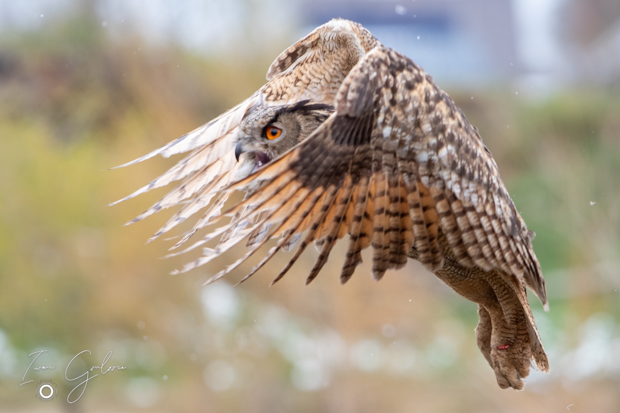 01 april 2022 123737 1DX47556